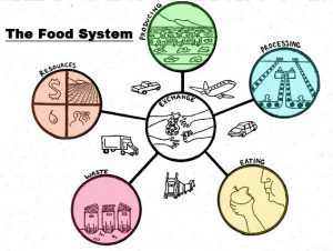 Foodsystem
